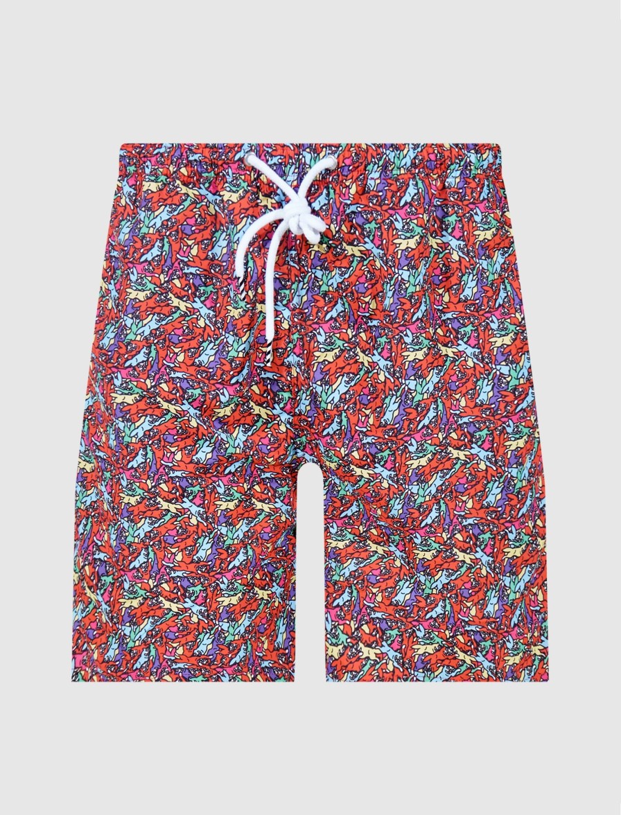 * Icecream Swim Shorts Shorts